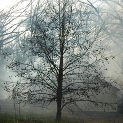 HOUSE FIRE 01-2009