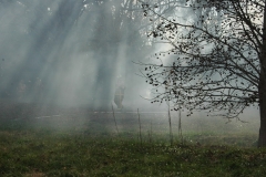 d70_110_resize