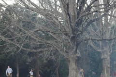d70_128_resize